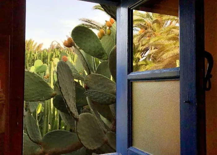 Casa Panama,in Der Mimosa Teguise (Lanzarote)