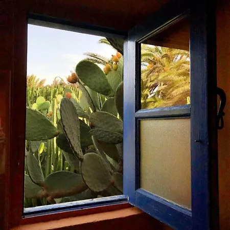 Casa Panama,in Der Mimosa טגיסי