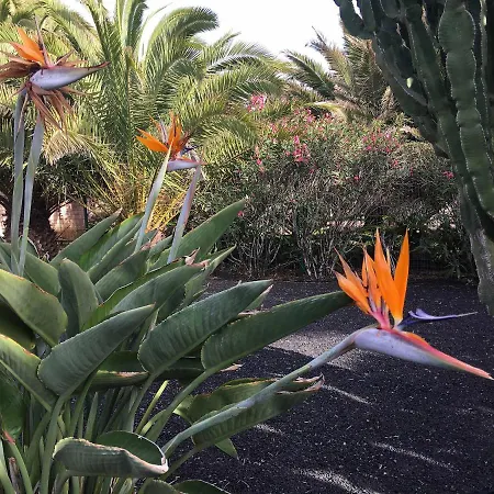 דירה Casa Panama,in Der Mimosa *