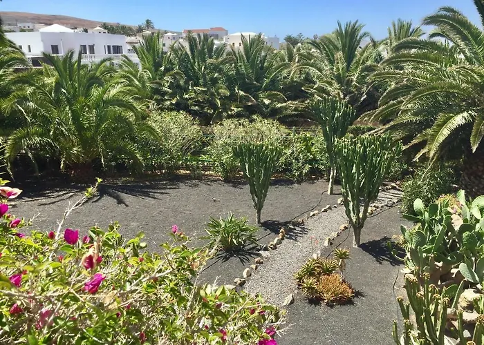 Casa Panama,in Der Mimosa * テギセ