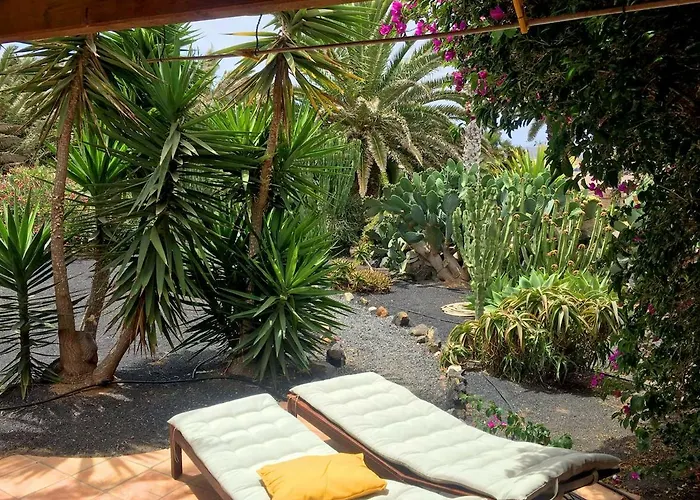 Casa Panama,in Der Mimosa アパート *