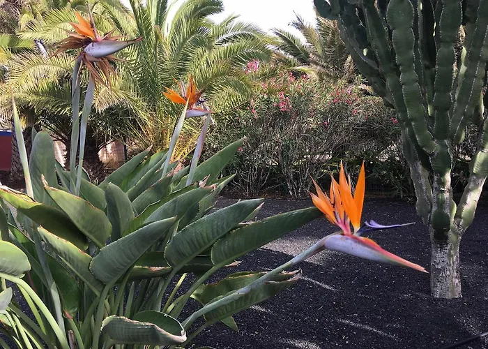 アパート Casa Panama,in Der Mimosa *