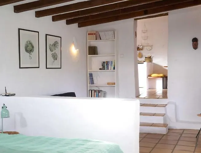 Casa Panama,in Der Mimosa アパート テギセ